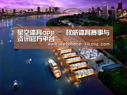 案例展示八