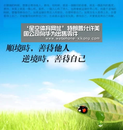 星空体育入口