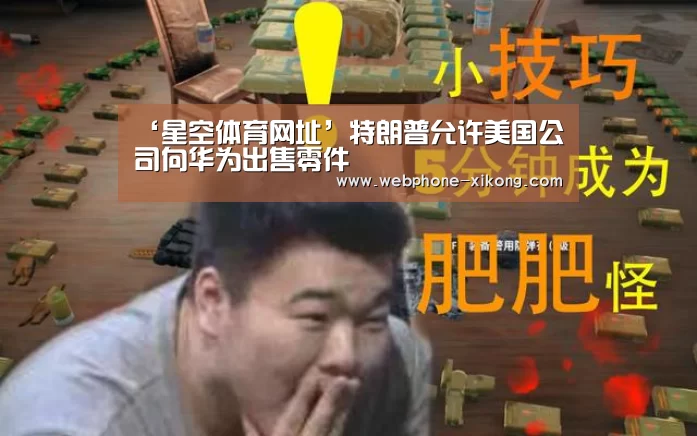 星空体育入口