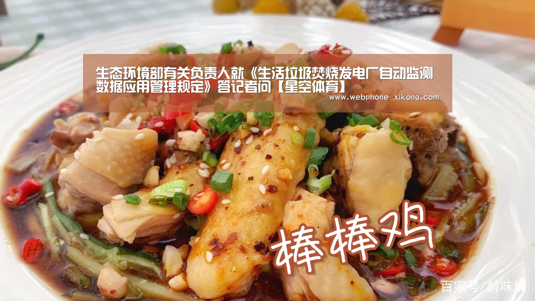 生态环境部有关负责人就《生活垃圾焚烧发电厂自动监测数据应用管理规定》答记者问【星空体育】(图1) 星空体育入口