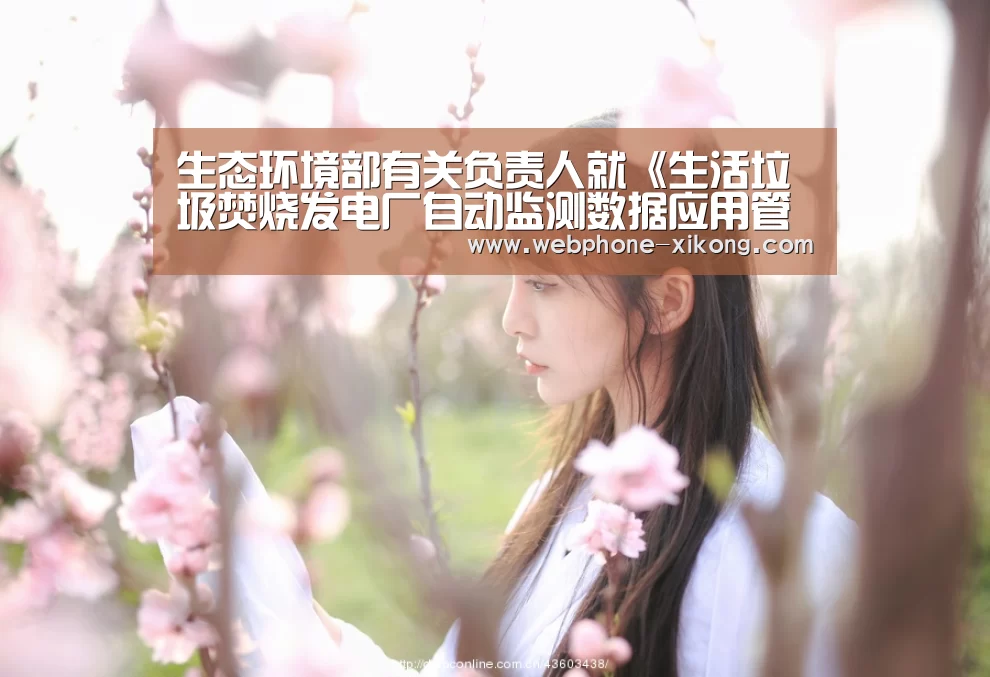 生态环境部有关负责人就《生活垃圾焚烧发电厂自动监测数据应用管理规定》答记者问【星空体育】(图2) 星空体育
