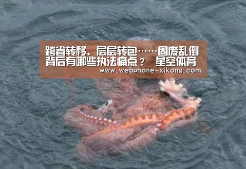星空体育官网
