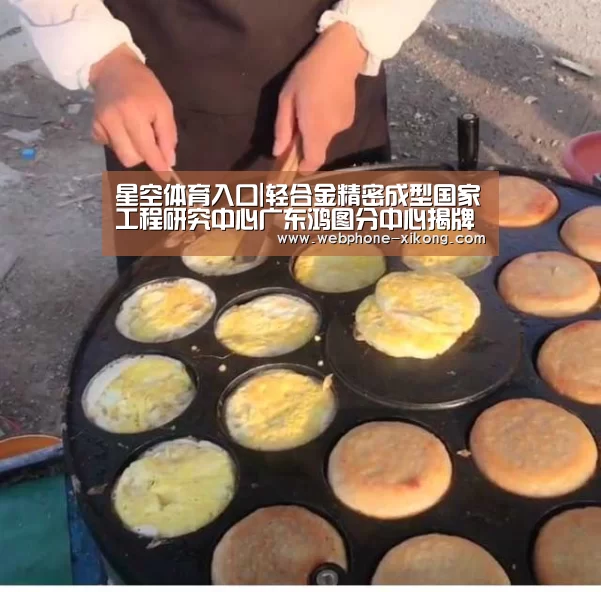 星空体育入口|轻合金精密成型国家工程研究中心广东鸿图分中心揭牌(图1) 星空体育入口