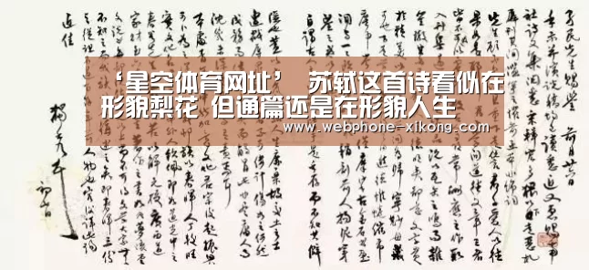 星空体育网址