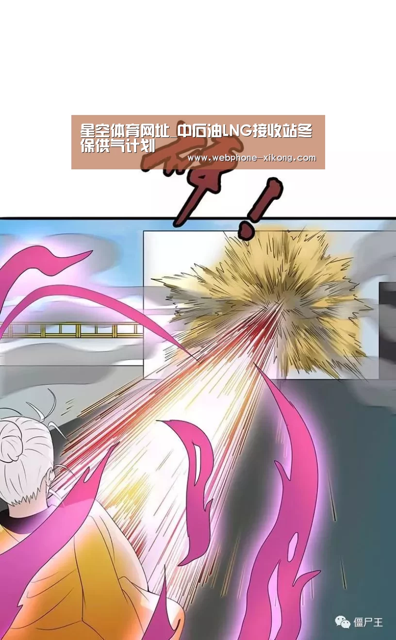 星空体育网址_中石油LNG接收站冬保供气计划(图4) 星空体育官网